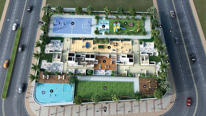 Site Layout